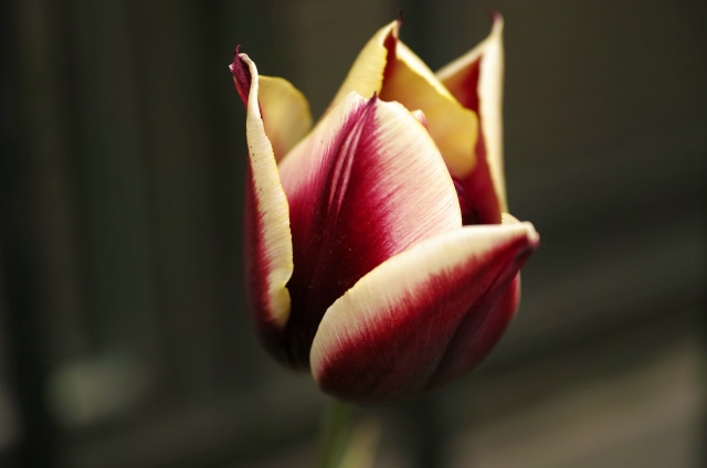 DP3M1150_dh.jpg