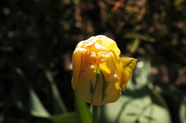 DP3M1134_dh.jpg