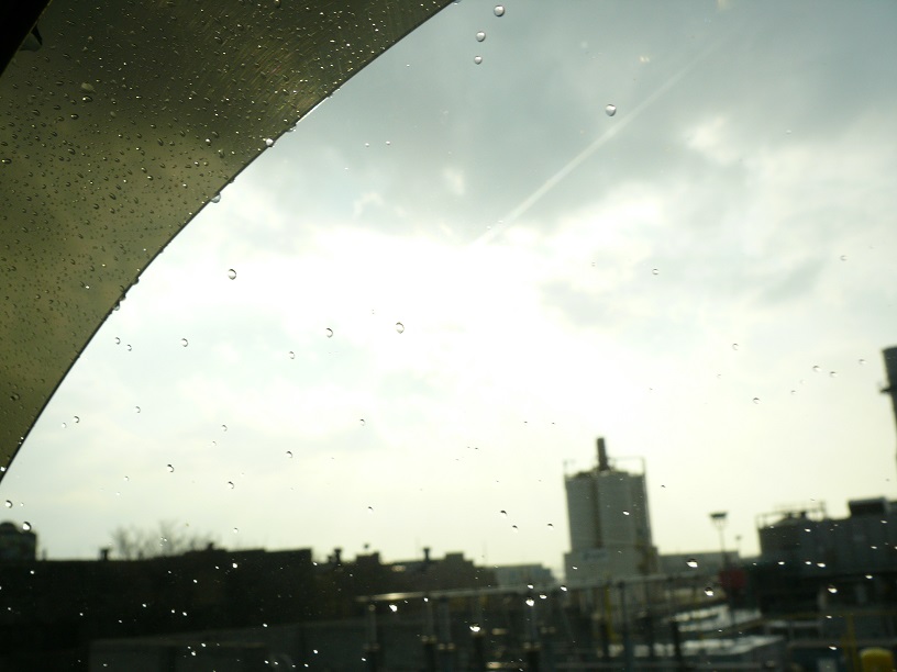 L1460682.JPG