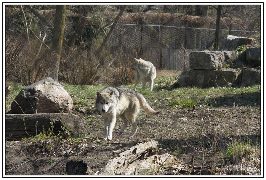 _MG_0670.JPG