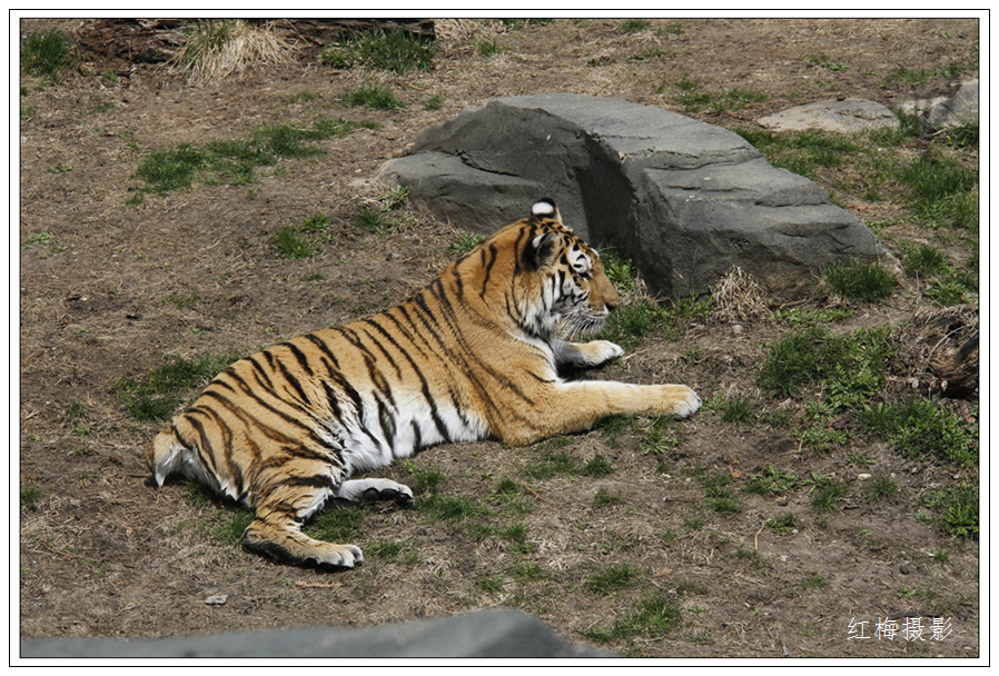 _MG_0168.JPG