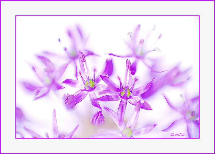 DSC_5668C.jpg
