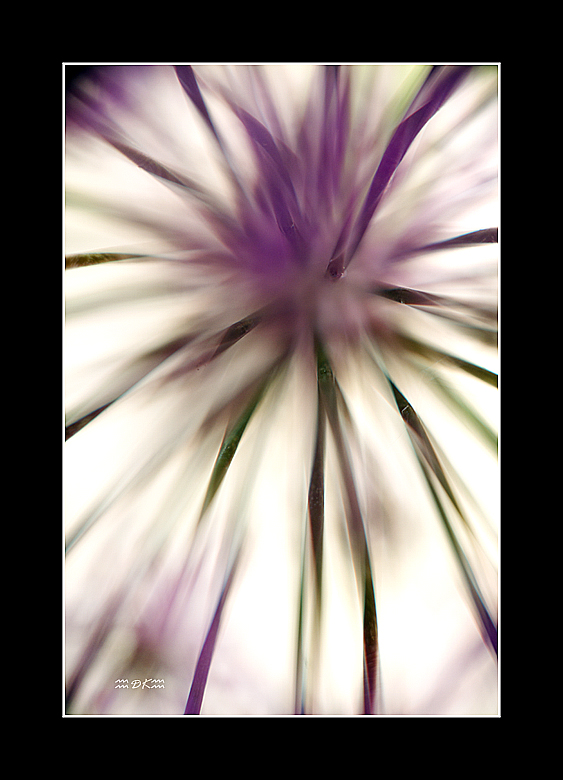 DSC_5999C.jpg