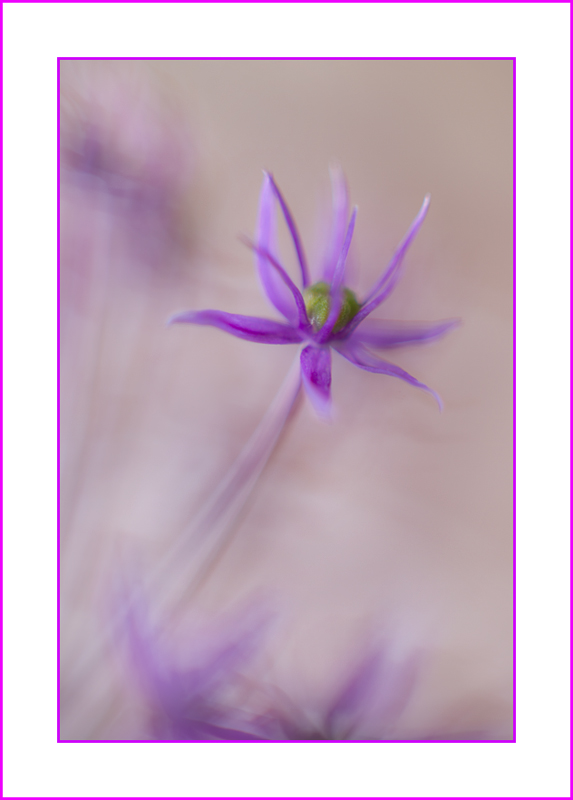 DSC_6127C.jpg