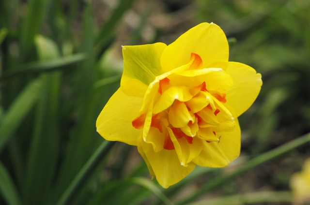 2_37884_bcc958032cb8e3f.jpg