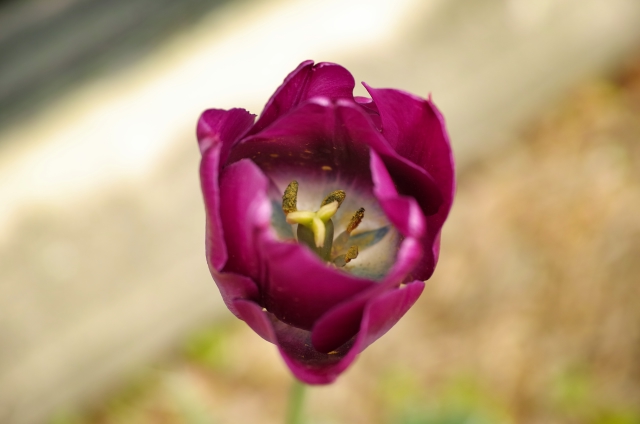 2_37884_bd6581d06dc14d4.jpg