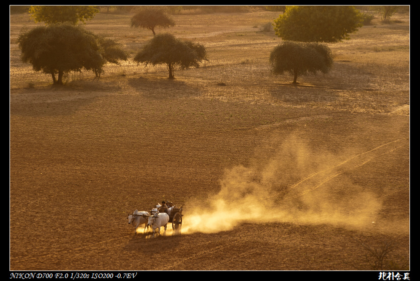 DSC_4769.jpg