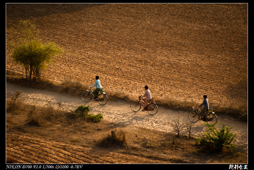 DSC_4693.jpg