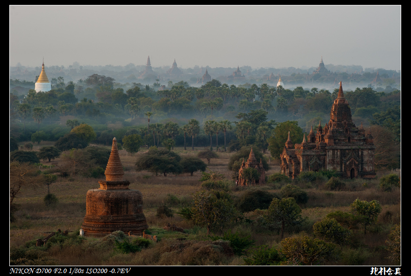 DSC_4947.jpg