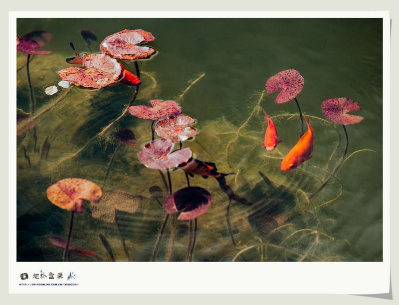 ���컨�Ὺ (25).jpg