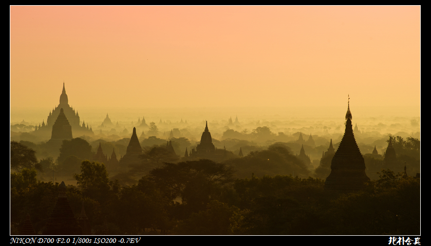 DSC_4464.jpg