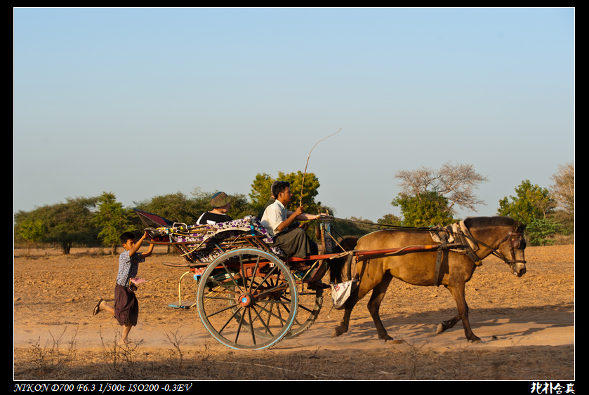 DSC_5151.jpg