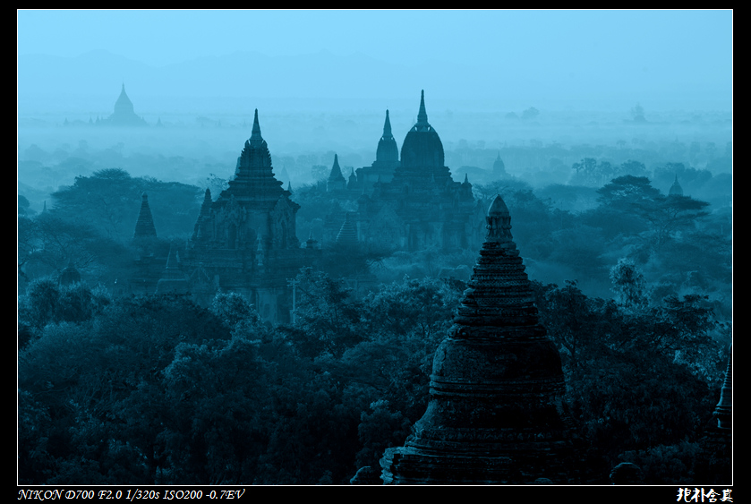 DSC_4490-1.jpg