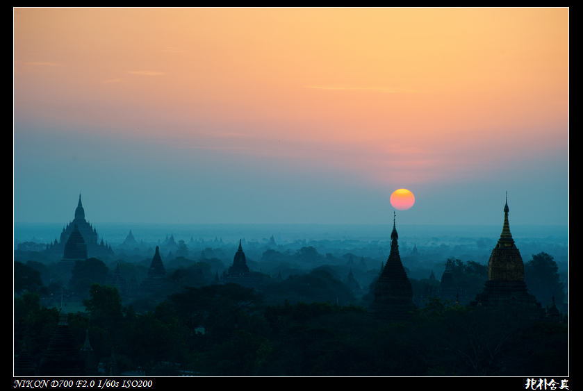 DSC_4403.jpg