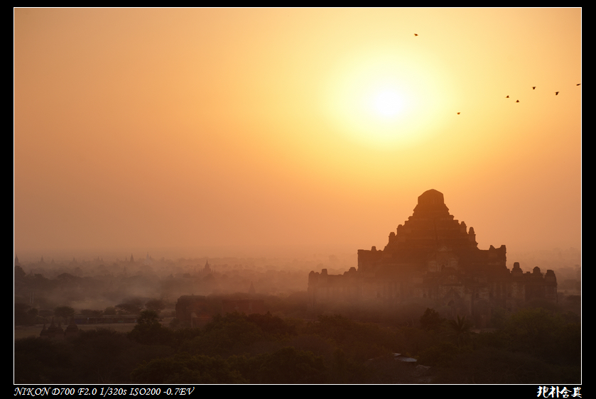 DSC_4945.jpg