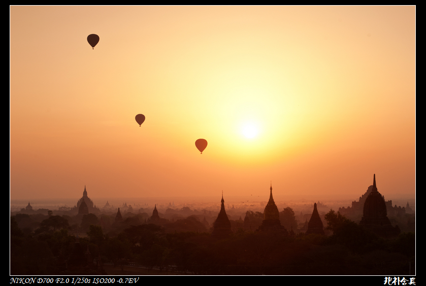 DSC_4434.jpg