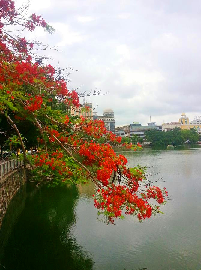 20140521_104615.jpg