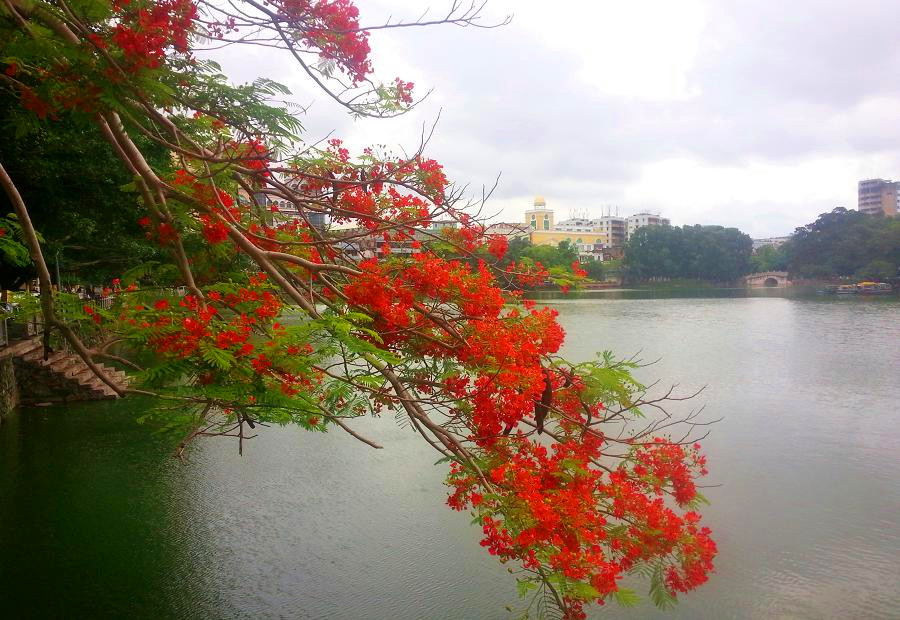 20140521_104633.jpg
