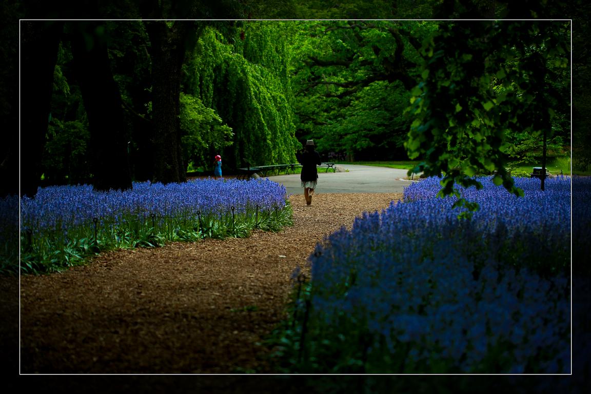 �}�u -05-23-2014--�~�s 115-1.jpg