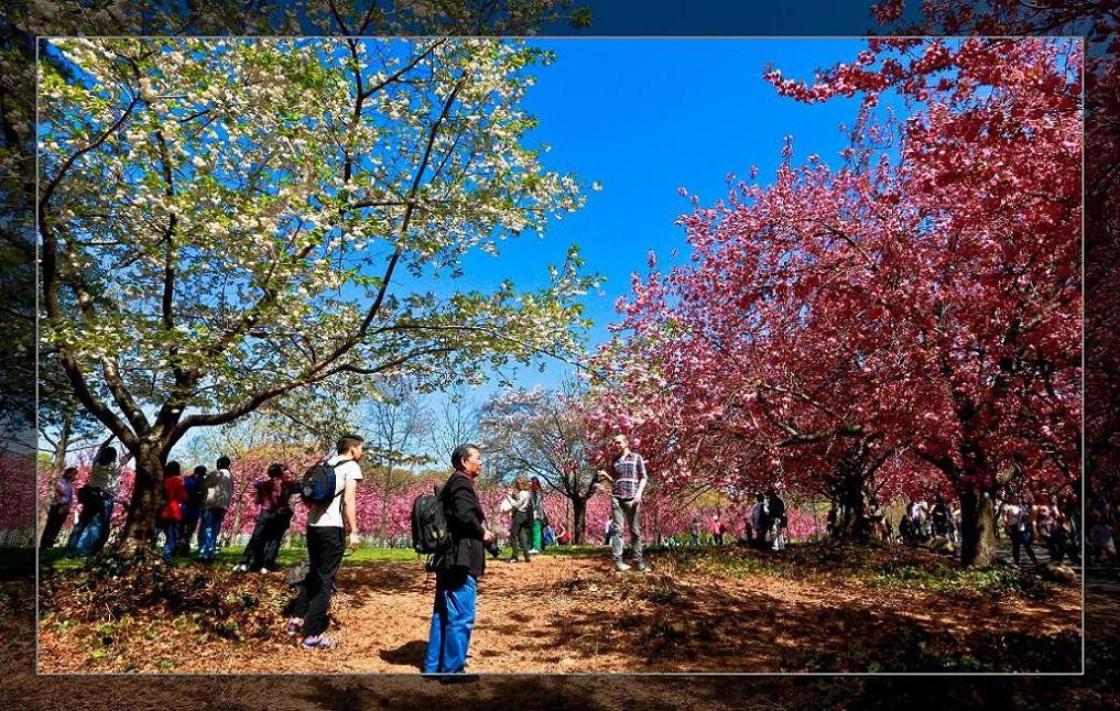 �}�u -05-03-2014--�~�s 059-3.jpg