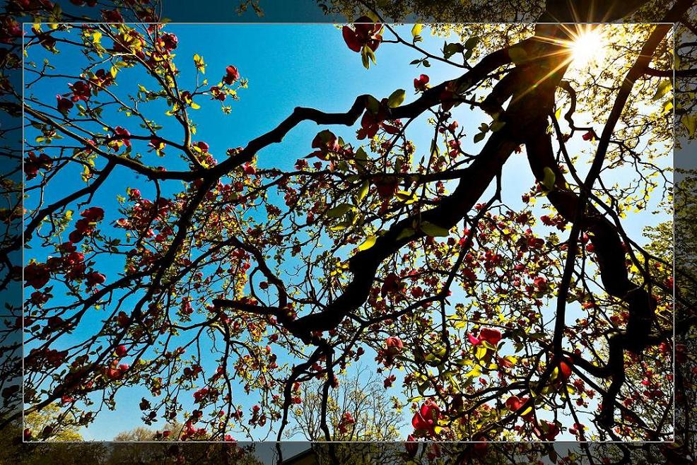 �}�u -05-03-2014--�~�s 221-1.jpg