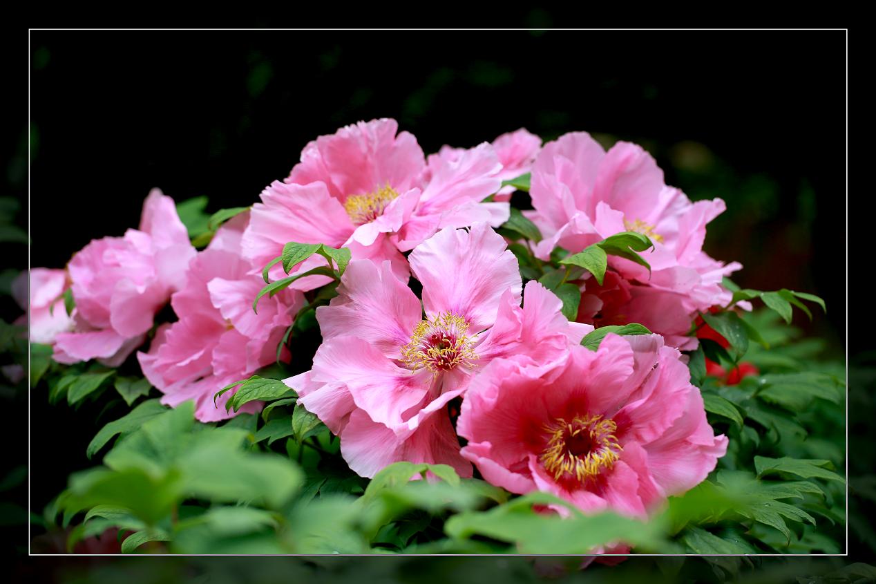 �}�u -183-001.jpg