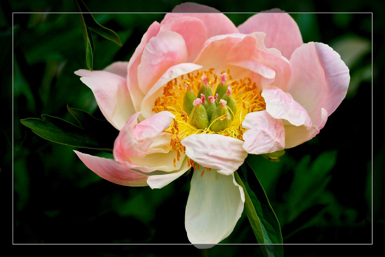 �}�u -05-30-2014--�ձ����@ 168-1.jpg