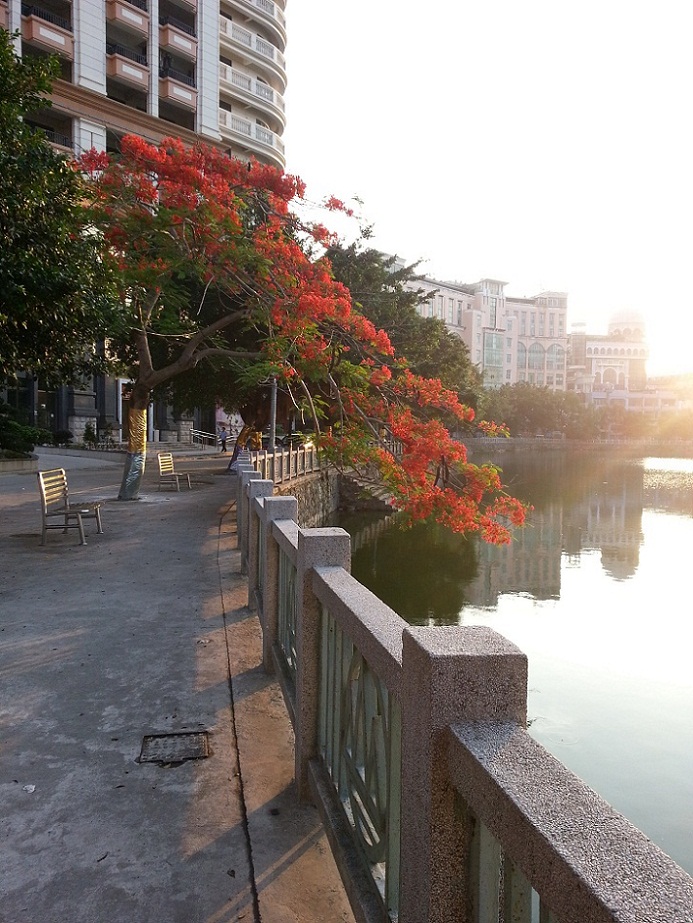 20140520_061946.jpg