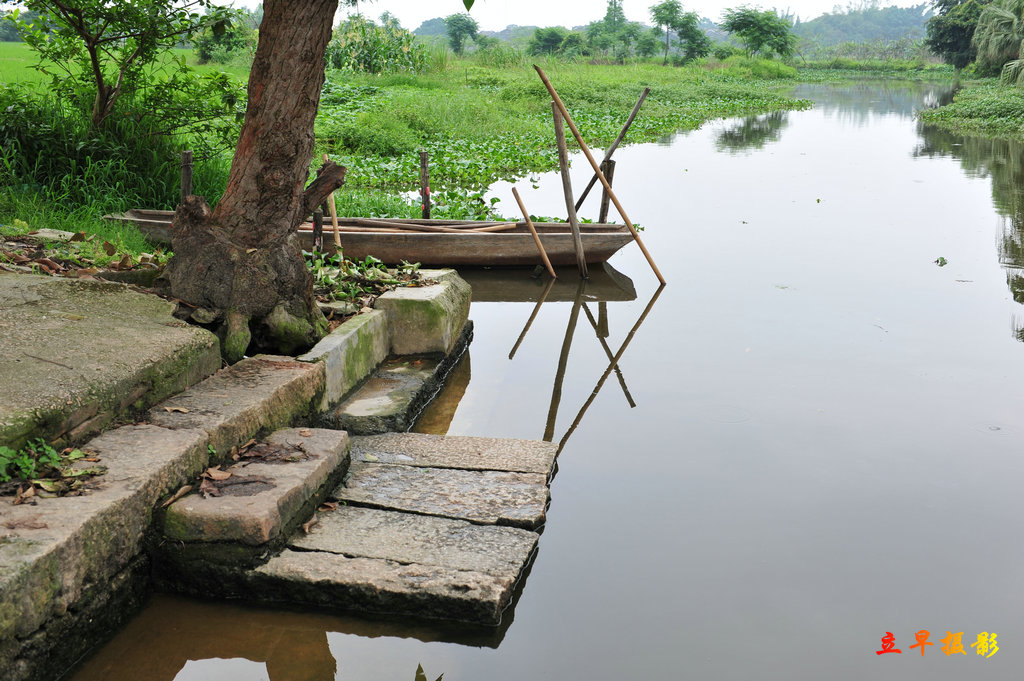 DSC_3470.JPG