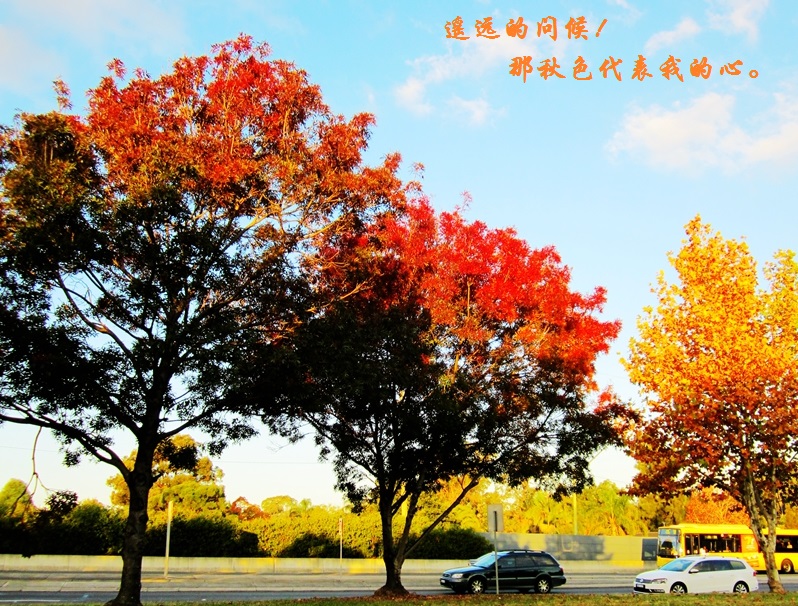 60_6229_7543d64ea996c7c.jpg