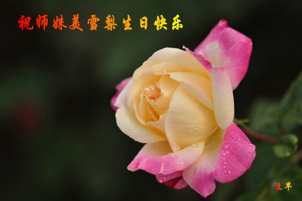 a15871991_s.jpg
