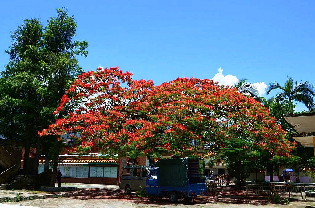 DSC_0873.JPG