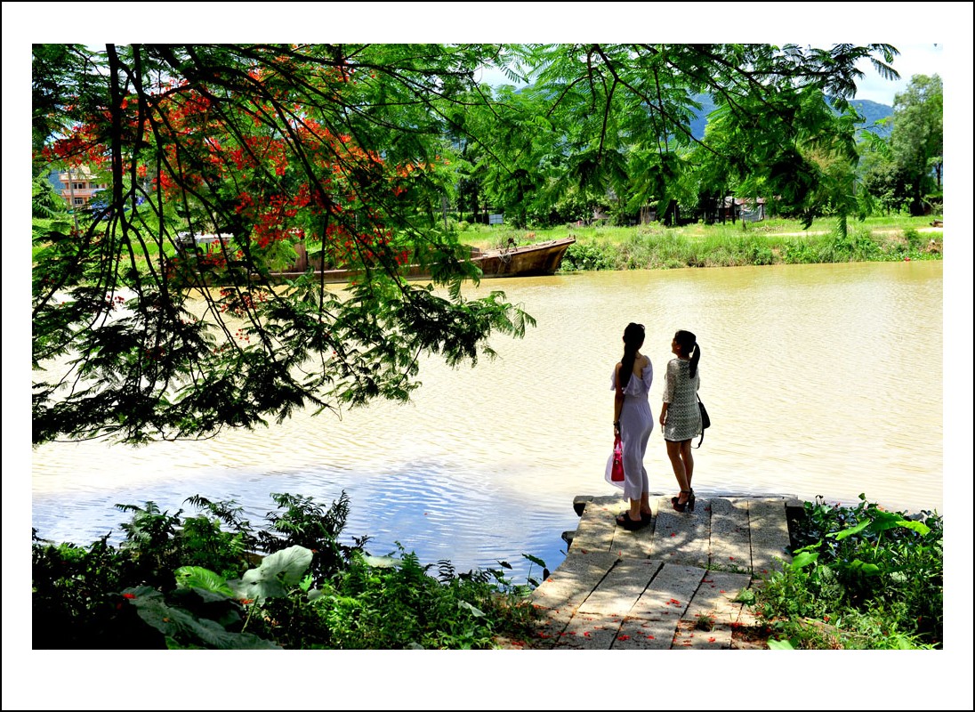 DSC_1430_conew1.jpg