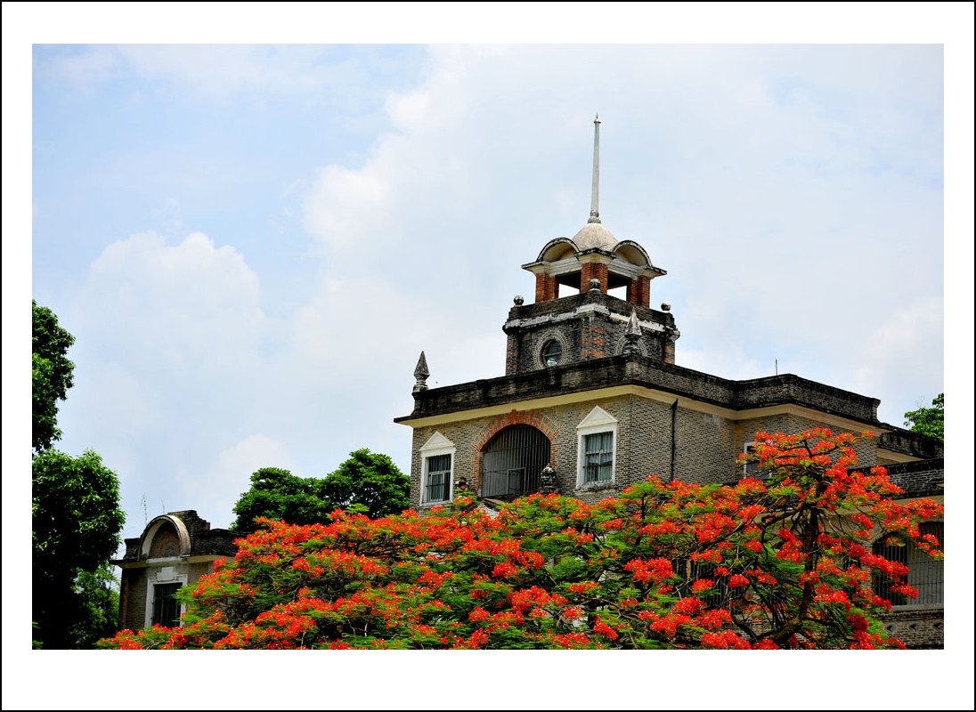 DSC_1264_conew1.jpg