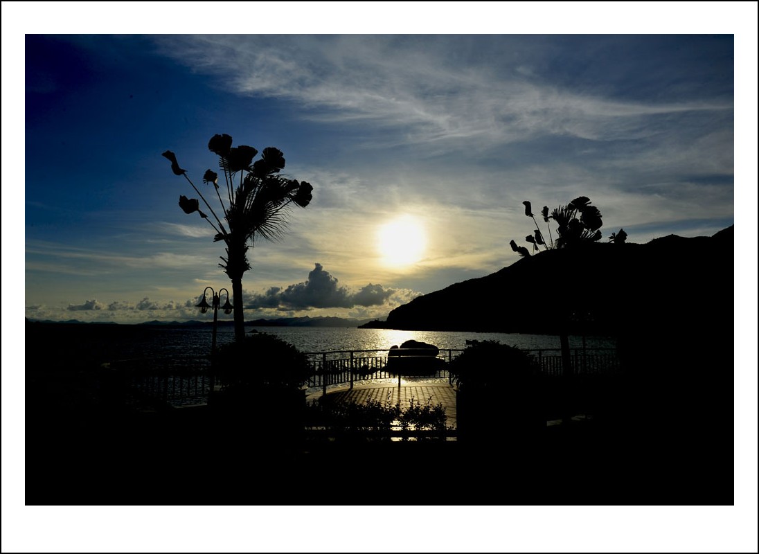 DSC_1677_conew1.jpg