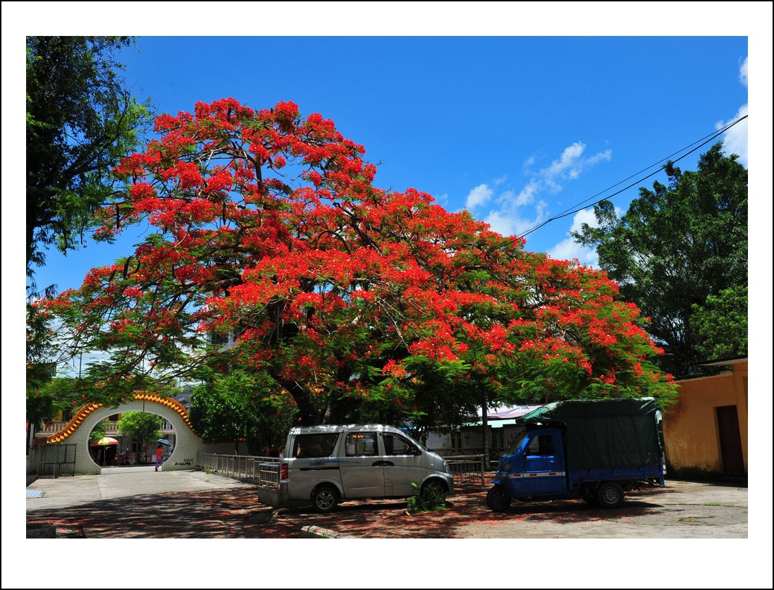 DSC_1460_conew1.jpg