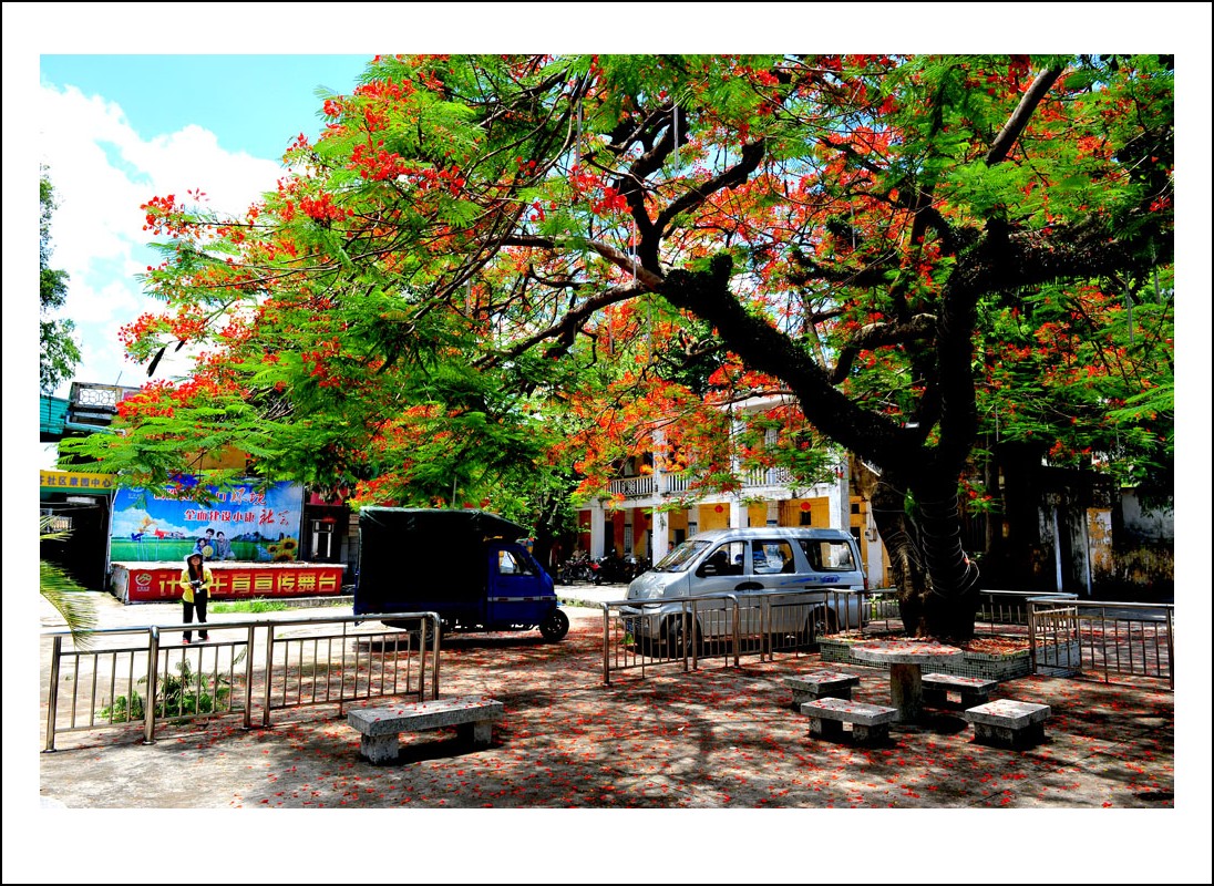 DSC_1467_conew1.jpg