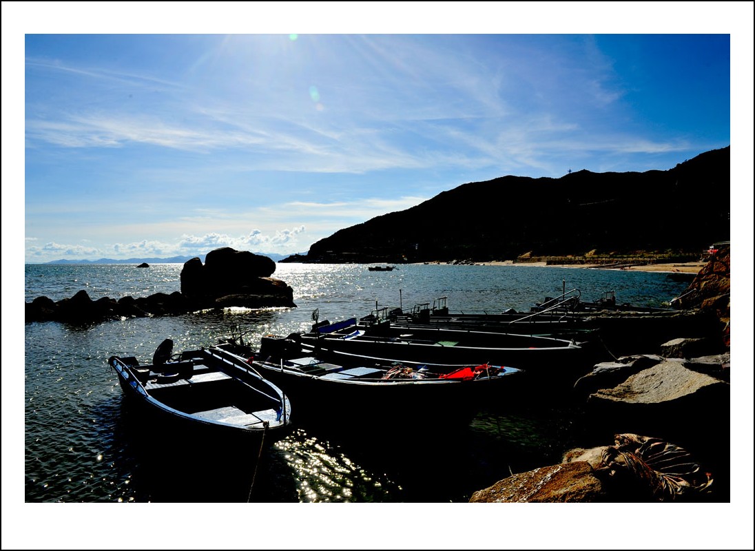 DSC_1547_conew1.jpg