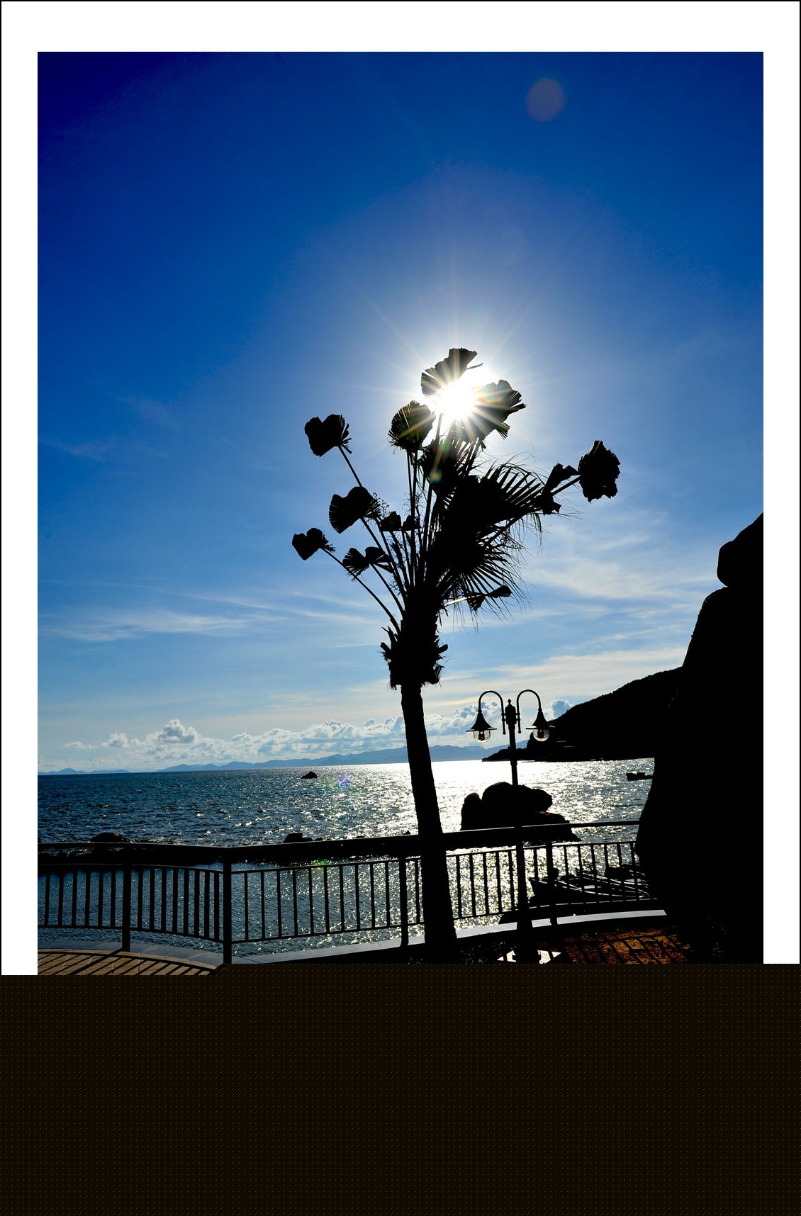 DSC_1605_conew1.jpg