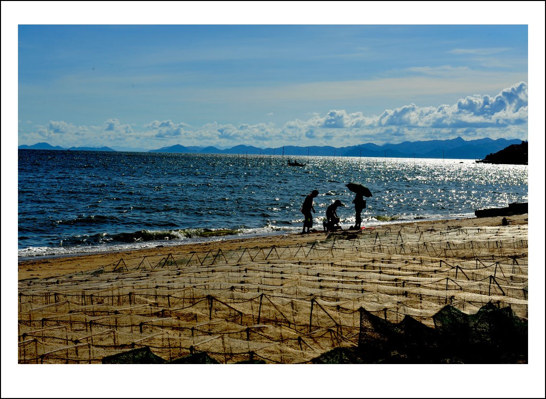 DSC_1523_conew1.jpg