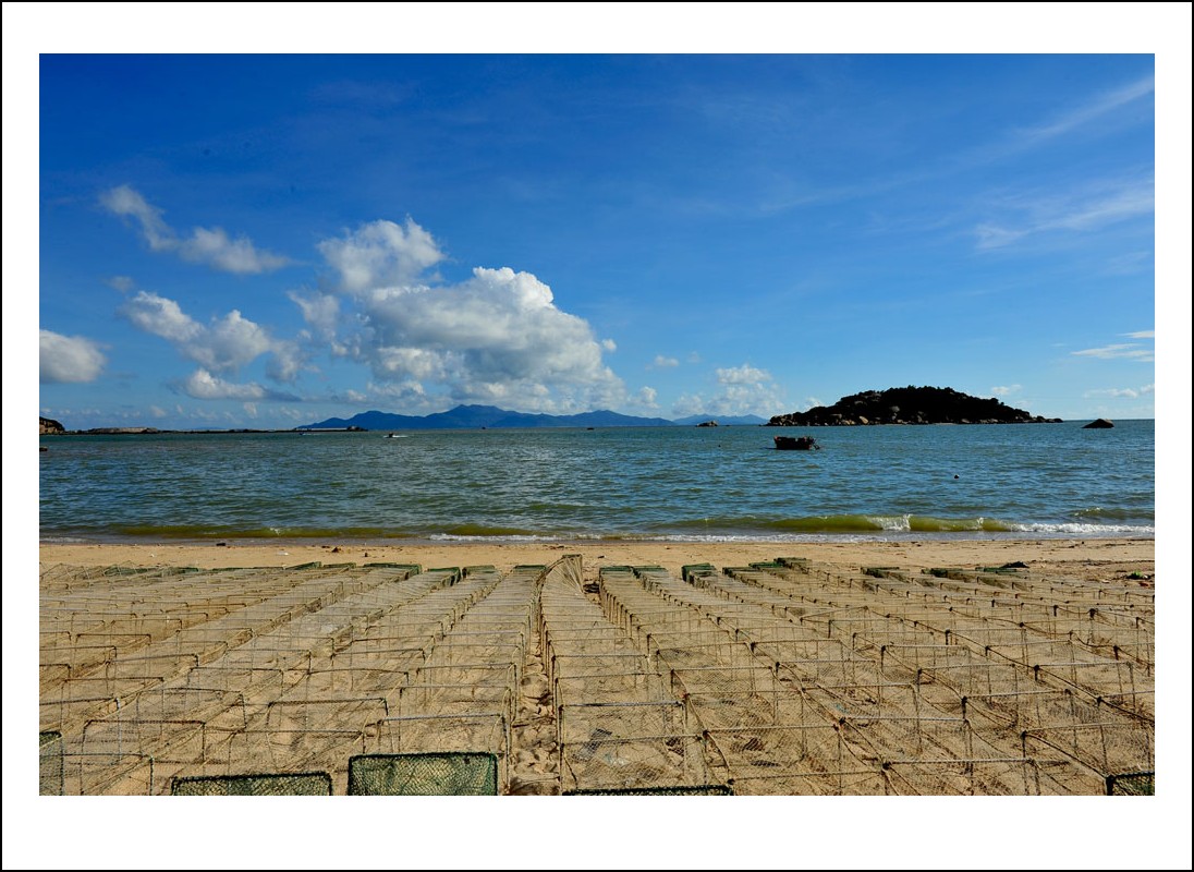 DSC_1531_conew1.jpg