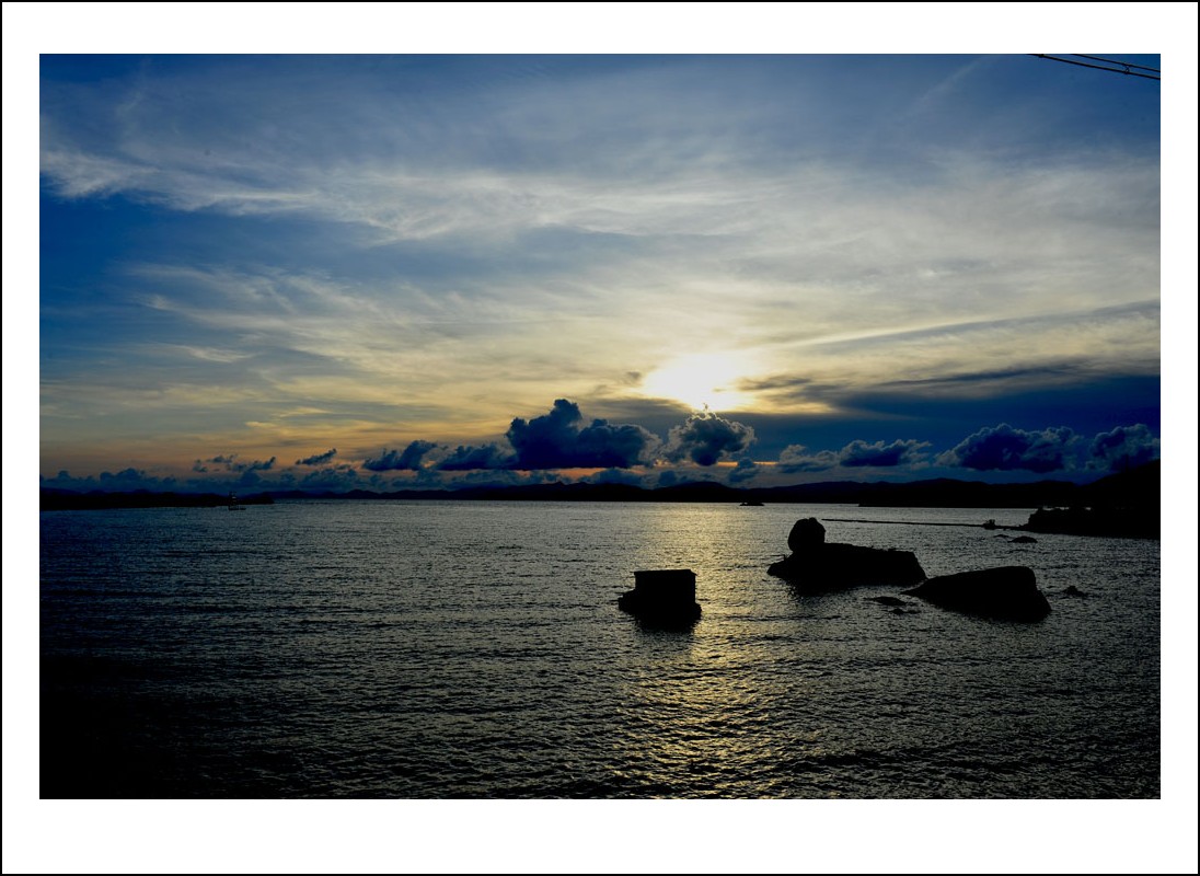 DSC_1686_conew1.jpg