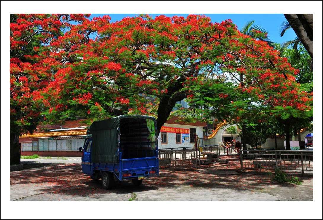 DSC_1464_conew1.jpg