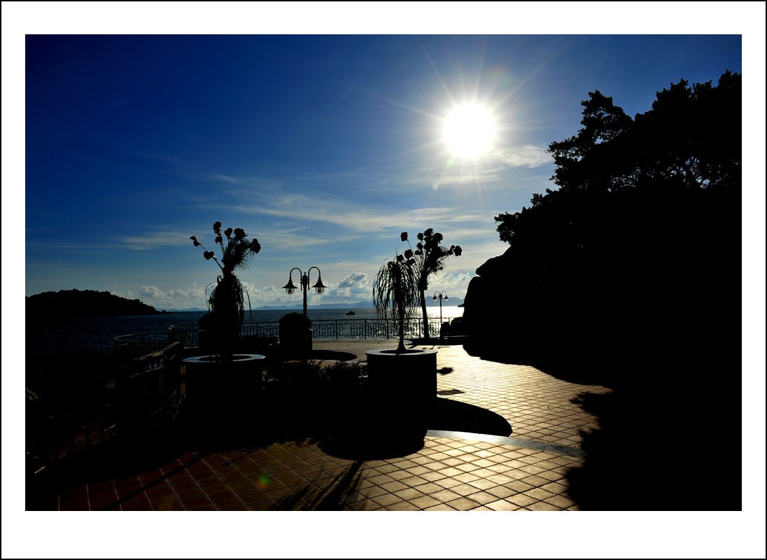 DSC_1643_conew1.jpg