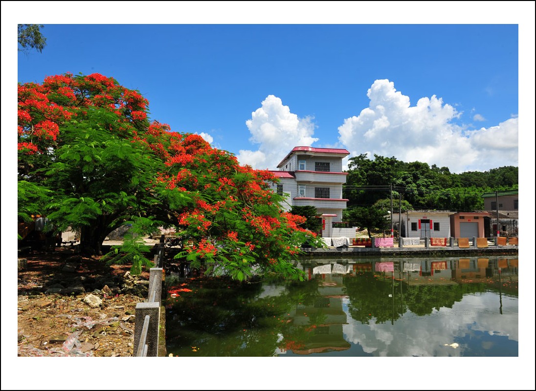 DSC_1417_conew1.jpg