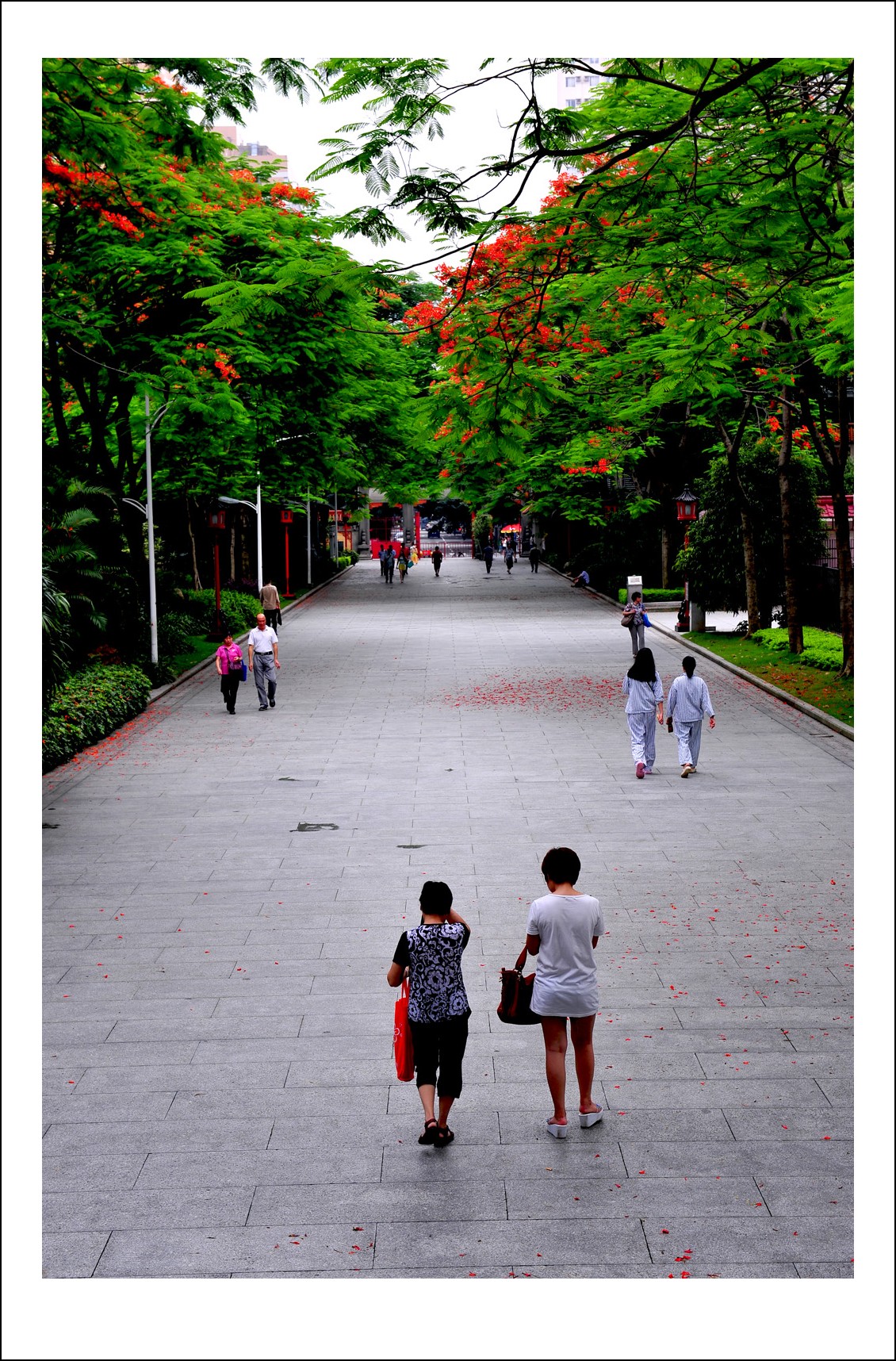 DSC_1085_conew1.jpg