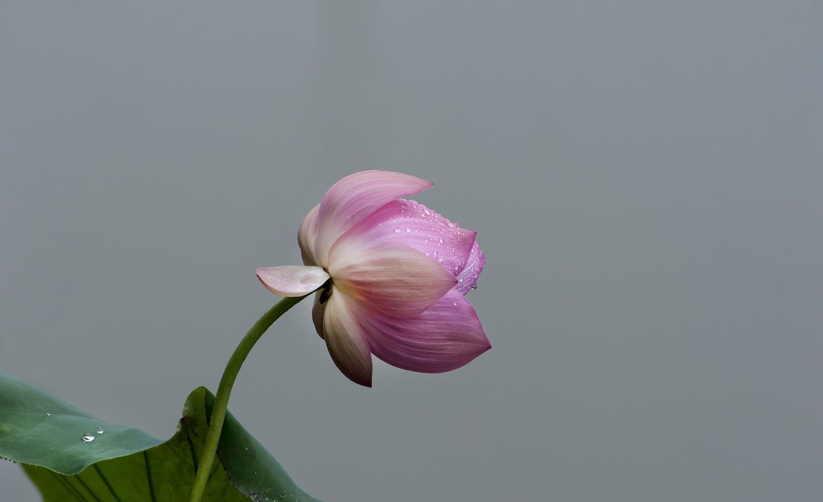 QQͼƬ20140506002858.jpg