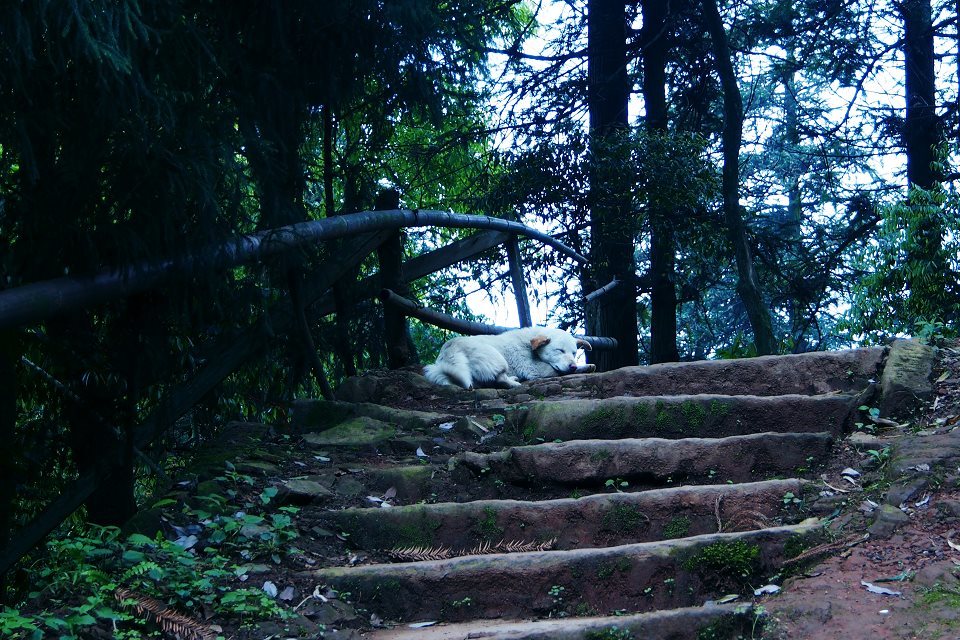 2001.jpg