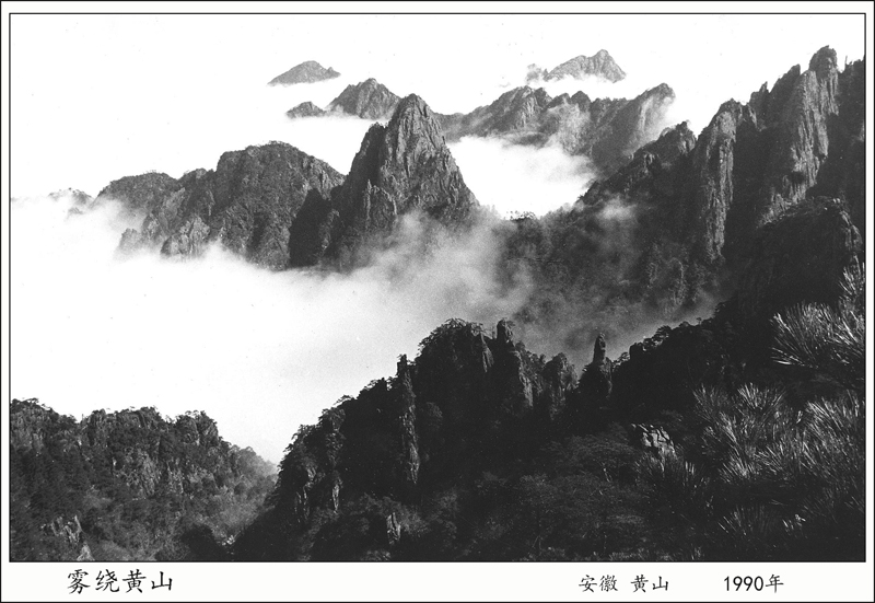 ƻɽaa.jpg