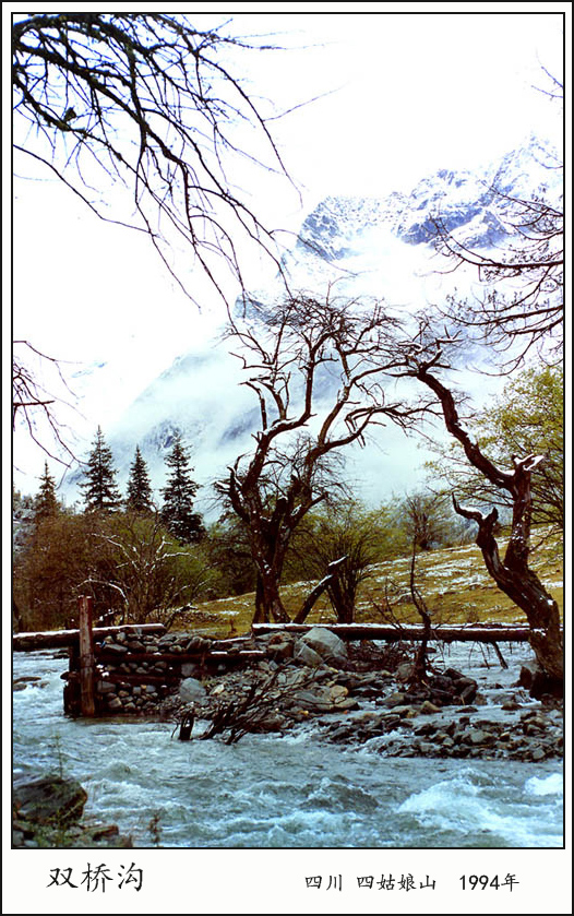 ˫Ź1994.jpg